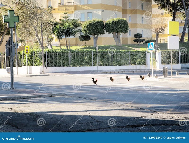 Chicken road oficial - Descubre las Reglas y Secretos del Juego de Azar Chicken Road en España